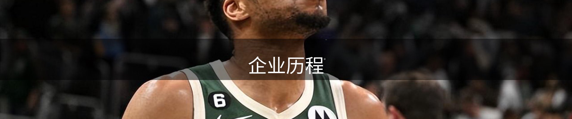 企业历程